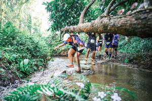 BIB: 
                            <button type="button" onclick="openModal(25478231)" class="btn btn-primary btn-sm float-right btn-popup" data-toggle="modal" data-target=".modal-high-quality">
                        <i class="fas fa-shopping-cart"></i> Add to Cart
                    </button>
                                            <button type="button" onclick="isThisMe(25478231, true)" class="btn btn-success btn-sm float-right btn-popup btn-isme hidden" data-toggle="tooltip" data-placement="bottom" title="นี่คือรูปของคุณใช่ไหม คลิกที่นี่เพื่อเอาเข้าอัลบั้ม">
                        <i class="fas fa-plus"></i> Add to album
                    </button>
                    <button type="button" onclick="isThisMe(25478231, false)" class="btn btn-warning btn-sm float-right btn-popup btn-isnotme hidden">
                        <i class="fas fa-ban"></i> Remove from album
                    </button>